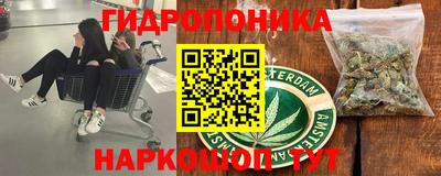 мдпв Камень-на-Оби