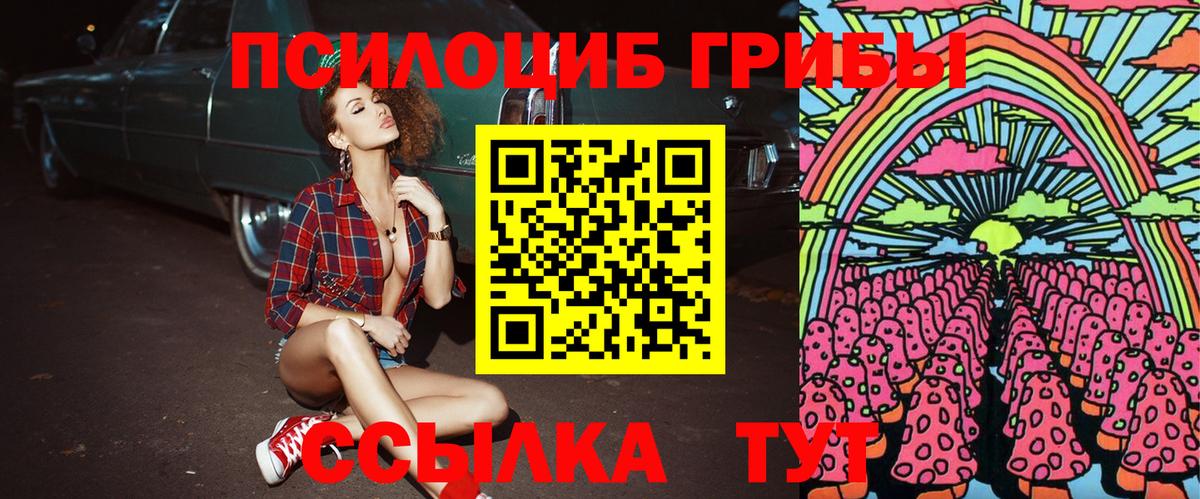 Псилоцибиновые грибы прущие грибы Электрогорск