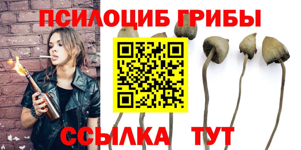 Псилоцибиновые грибы Cubensis  Вход с VPN  Электрогорск 